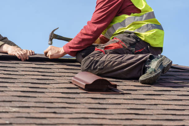 Best Roof Gutter Cleaning  in Midlothian, VA